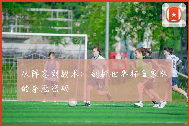 从阵容到战术：剖析世界杯国家队的夺冠密码