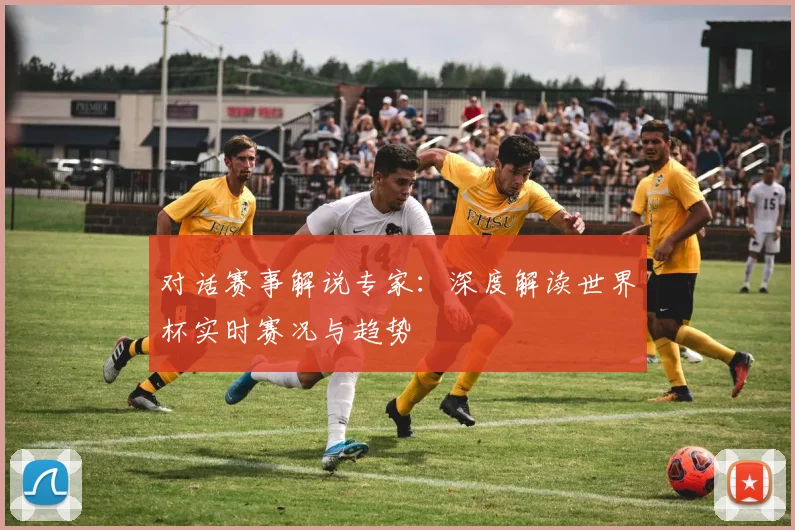 对话赛事解说专家：深度解读世界杯实时赛况与趋势